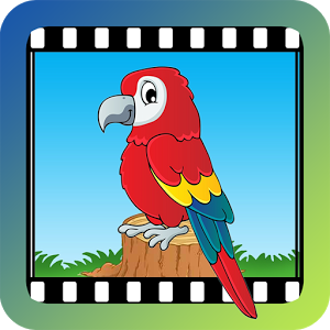 Скачать приложение Video Touch — Птицы полная версия на андроид бесплатно