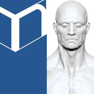 Скачать приложение MARA3D Male Anatomy полная версия на андроид бесплатно