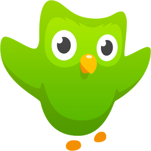 Скачать приложение Duolingo: Учим языки бесплатно полная версия на андроид бесплатно