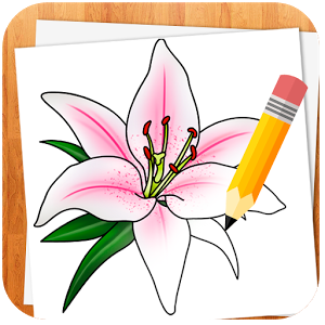 Взломанное приложение How to Draw Flowers для андроида бесплатно