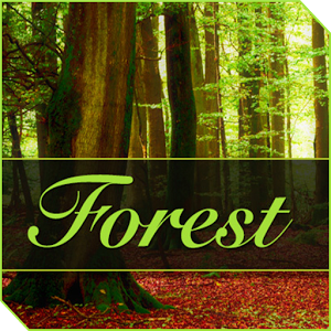 Скачать приложение XPERIA™ Forest полная версия на андроид бесплатно