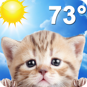 Скачать приложение Weather Kitty полная версия на андроид бесплатно