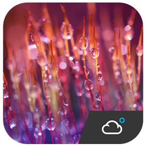 Скачать приложение LG Optimu Style Weather Widget полная версия на андроид бесплатно
