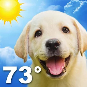 Скачать приложение Weather Puppy полная версия на андроид бесплатно