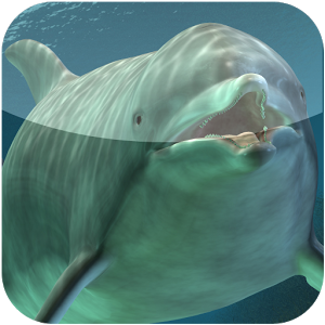 Скачать приложение Дельфин виджет погоды полная версия на андроид бесплатно