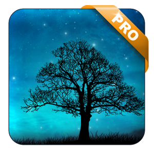 Скачать приложение Dream Night Pro Live Wallpaper полная версия на андроид бесплатно