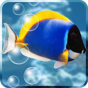 Скачать программу Aquarium Live Wallpaper full версия на android бесплатно Скачать приложение Aquarium Live Wallpaper полная версия на андроид бесплатно